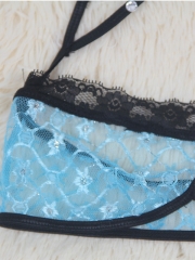 Sexy Transparent Lace Strappy Bra Sets Lingerie Wholesale 