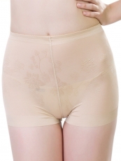 Mesh Padded Panties Buttock Enhancer Butt Lift Shaper