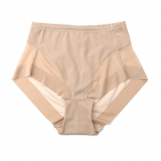 Women Mesh Panties See-Through Underpants Intimate Briefs